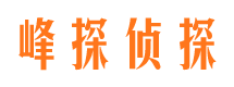 通山市私家侦探